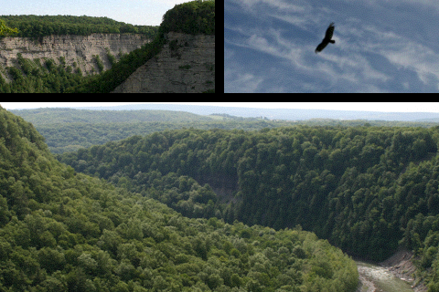 Montager: Letchworth